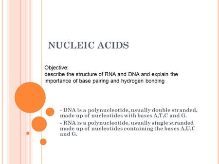 NUCLEIC ACIDS - DNA is a polynucleotide, usually double stranded, made up of nucleotides with bases A,T,C and G. - RNA is a polynucleotide, usually single.