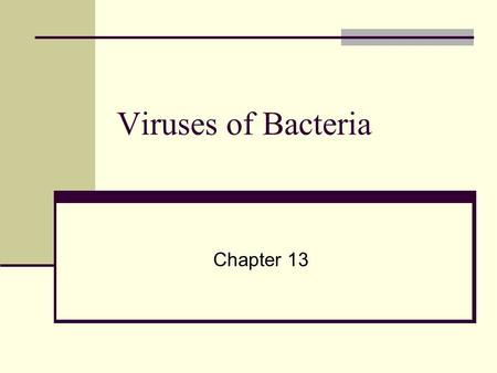 Viruses of Bacteria Chapter 13. General Characteristics of Viruses Non-living entities Not considered organisms Can infect organisms of every domain All.