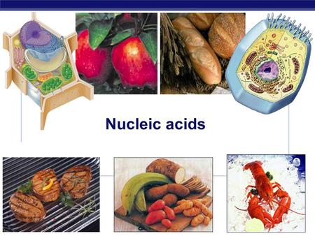 AP Biology 2006-2007 Nucleic acids AP Biology 2006-2007 Nucleic Acids.