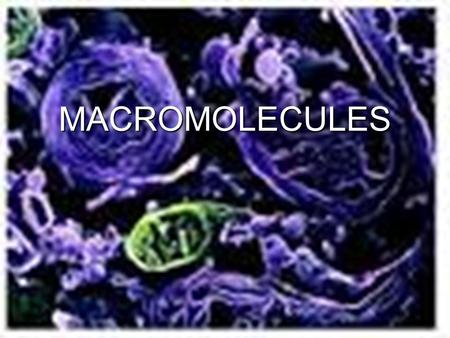 MACROMOLECULES. MACROMOLECULES “MACRO” MEANS LARGE or BIG THEY ARE NEEDED IN LARGE AMOUNTS AND THEY ARE LARGE PARTICLES.