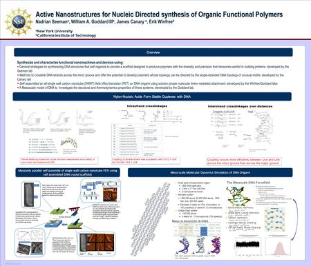 POSTER TEMPLATE BY: www.PosterPresentations.com Active Nanostructures for Nucleic Directed synthesis of Organic Functional Polymers Nadrian Seeman a, William.