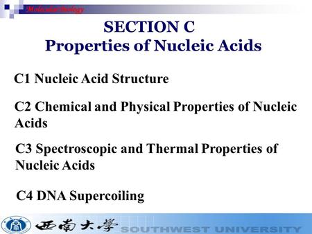 Properties of Nucleic Acids