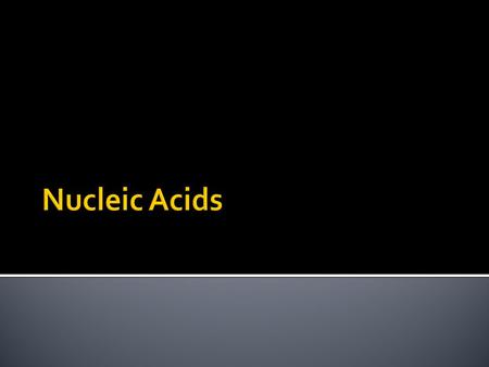 Nucleic Acids.