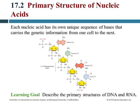 Chemistry: An Introduction to General, Organic, and Biological Chemistry, Twelfth Edition© 2015 Pearson Education, Inc. 17.2 Primary Structure of Nucleic.