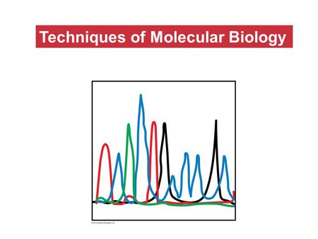 Techniques of Molecular Biology. Basic molecular biology techniques Isolating nucleic acids Cutting DNA into fragments Ligating DNA fragments Amplifying.