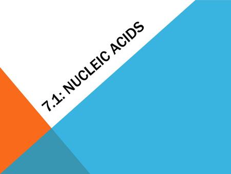 7.1: NUCLEIC ACIDS. 1. HERSHEY-CHASE EXPERIMENTS Alfred Hershey and Martha Chase researched the genetic material of viruses. They used the T2 bacteriophage.