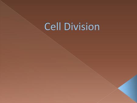 Deoxyribonucleic Acid - DNA  Found primarily in the nucleus in chromosomes - stores and transmit information to make proteins.  Structure Consists of.