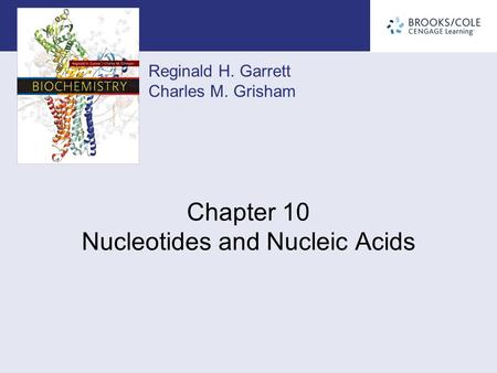 Reginald H. Garrett Charles M. Grisham Chapter 10 Nucleotides and Nucleic Acids.