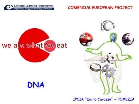 DNA COMENIUS EUROPEAN PROJECT IPSIA “Emilio Cavazza” - POMEZIA.