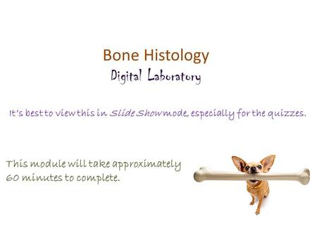 Bone Histology Digital Laboratory It’s best to view this in Slide Show mode, especially for the quizzes. This module will take approximately 60 minutes.