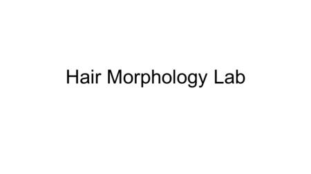 Hair Morphology Lab. DRAW 1 PICTURE ON 4X or 10X DRAW A 2 ND PICTURE ON 40X 5 Animal Hairs 3 Human Hairs (Caucasoid, Mongoloid, Negroid) 5 Fibers Pick.