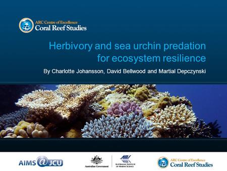 Herbivory and sea urchin predation for ecosystem resilience By Charlotte Johansson, David Bellwood and Martial Depczynski.