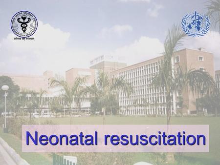 Neonatal resuscitation. Primary cause of death: NNPD 18 % Other causes 09 % Malformation 29 % Perinatal hypoxia 17 % Infection 27 % Prematurity Deaths.