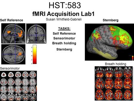 HST:583 fMRI Acquisition Lab1 Susan Whitfield-Gabrieli TASKS: Self Reference Sensorimotor Breath holding Sternberg Self ReferenceSternberg Breath holding.