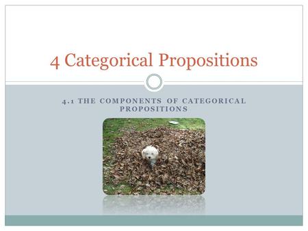 4 Categorical Propositions