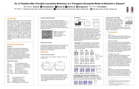 Introduction Alzheimer’s disease (AD) patients exhibit disturbed daily sleep-wake patterns (1). We have used a transgenic fruit fly model expressing aggregation-