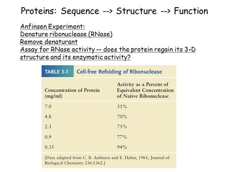 Proteins: Sequence --> Structure --> Function