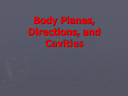 Body Planes, Directions, and Cavities