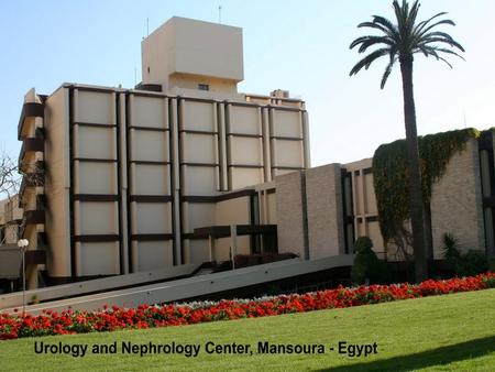 Title: Percutaneous Nephrolithotomy versus Extracorporeal Shockwaves Lithotripsy for Treatment of a 20-30 mm Single Renal Pelvis Stone Authors: Mohammed.