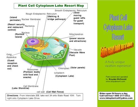 Cell Membrane Vacuole Nucleolus Nucleus Nuclear Membrane cytoplasm Chloroplast Golgi Apparatus Ribosomes Rough Endoplasmic Reticulum Mitochondrion Smooth.