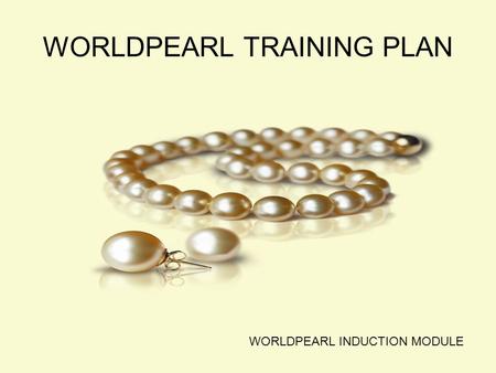 WORLDPEARL TRAINING PLAN