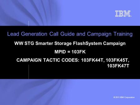 © 2011 IBM Corporation Lead Generation Call Guide and Campaign Training WW STG Smarter Storage FlashSystem Campaign MPID = 103FK CAMPAIGN TACTIC CODES: