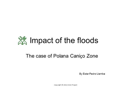 Impact of the floods The case of Polana Cani ç o Zone By Ester Pedro Uamba Copyright © 2011 CCAA Project.