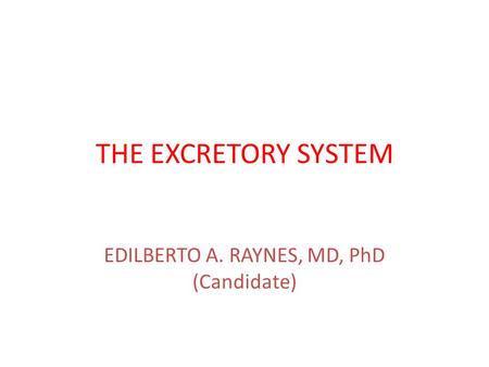 THE EXCRETORY SYSTEM EDILBERTO A. RAYNES, MD, PhD (Candidate)