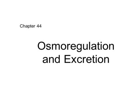 Chapter 44 Osmoregulation and Excretion. Fig. 44-2 Selectively permeable membrane Net water flow Hyperosmotic side Hypoosmotic side Water Solutes.