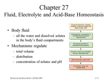 Chapter 27 Fluid, Electrolyte and Acid-Base Homeostasis