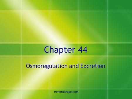 Travismulthaupt.com Chapter 44 Osmoregulation and Excretion.