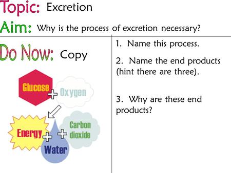 1. Name this process. 2. Name the end products (hint there are three). 3. Why are these end products? Copy Excretion Why is the process of excretion necessary?