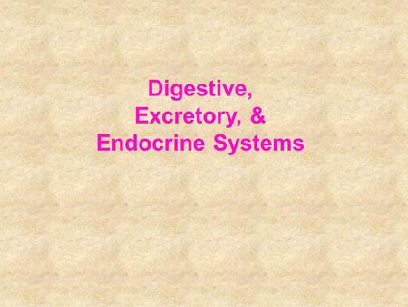 Digestive, Excretory, & Endocrine Systems Main Points: General morphology: mouthparts, esophagus, crop, proventriculus, midgut, gastric cecae, hindgut,