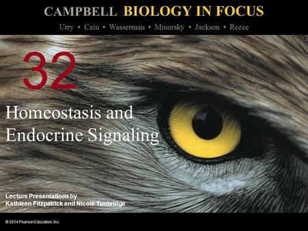 Homeostasis and Endocrine Signaling