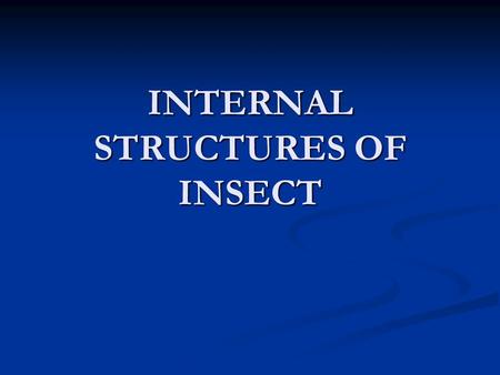 INTERNAL STRUCTURES OF INSECT