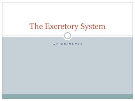 AP BIO/MEMIS The Excretory System. Why excretion & osmoregulation? Animal Cells can’t survive a net water gain/loss Need to get rid of nitrogenous waste.