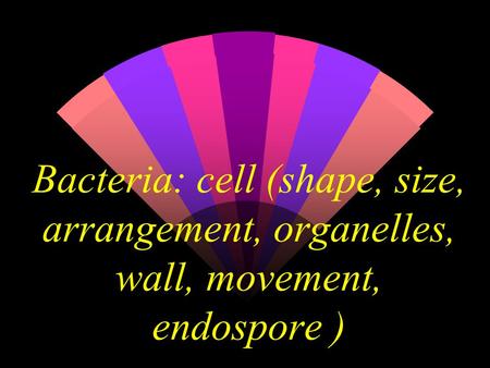 Endospores – a special resistant dormant structure, formed under periods of environmental stress