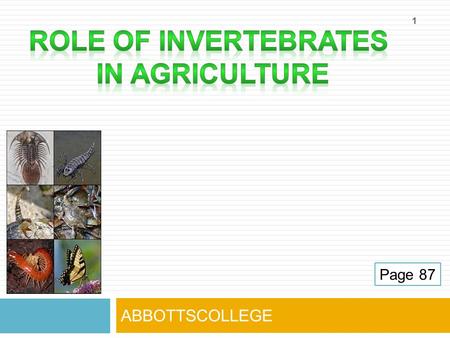 ABBOTTSCOLLEGE 1 Page 87. ROLES OF THE INVERTEBRATES 2 PollinationDecompositionSoil aeration Page 87.