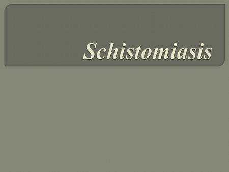  Parasitic disease caused by several species of flatworm  Affects many in developing countries  a disease caused by parasitic worms. The organisms.