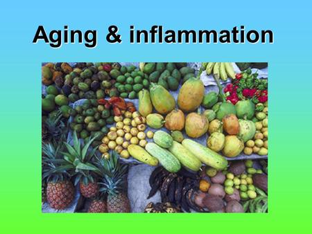 Aging & inflammation. Aging well Hunza man Hunza Valley.