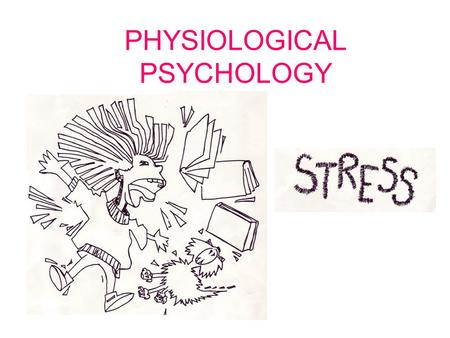 PHYSIOLOGICAL PSYCHOLOGY. Explanation of behaviour that refer to the body systems – cells, muscles, blood, hormones and the nervous system. Miranda Psychology.