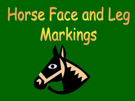 OBJECTIVES Student will be able to discuss the purpose of leg and facial markings Student will be able to identify and describe four horse facial markings.