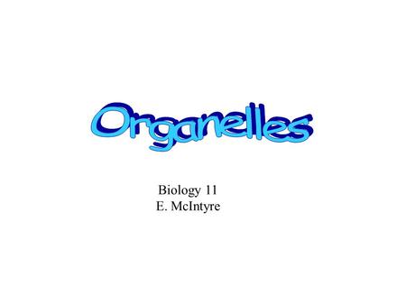 Biology 11 E. McIntyre. Cytoplasm (cytosol): a cell's inner space Cytoskeleton cytosol Cytosol:large fluid-filled space (mostly water + proteins that.