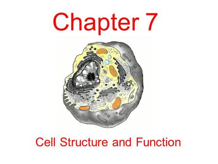 Cell Structure and Function