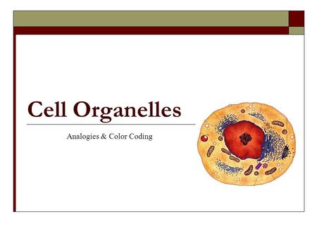 Cell Organelles Analogies & Color Coding.