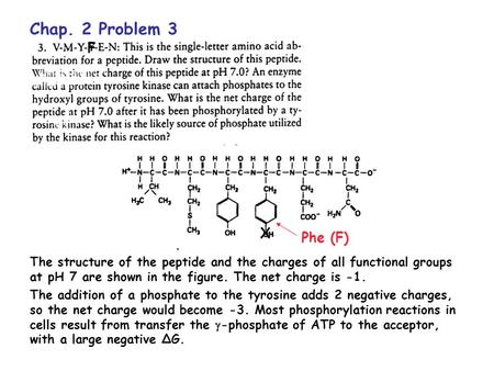 Chap. 2 Problem 3 F X Phe (F) The structure of the peptide and the charges of all functional groups at pH 7 are shown in the figure. The net charge is.