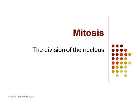 Mitosis The division of the nucleus © 2010 Paul Billiet ODWSODWS.