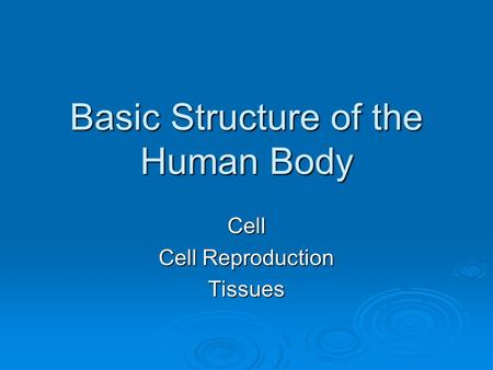 Basic Structure of the Human Body