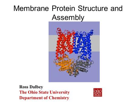 Membrane Protein Structure and Assembly Ross Dalbey The Ohio State University Department of Chemistry.