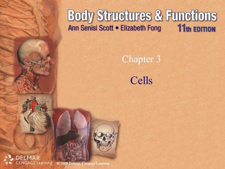 Chapter 3 Cells.